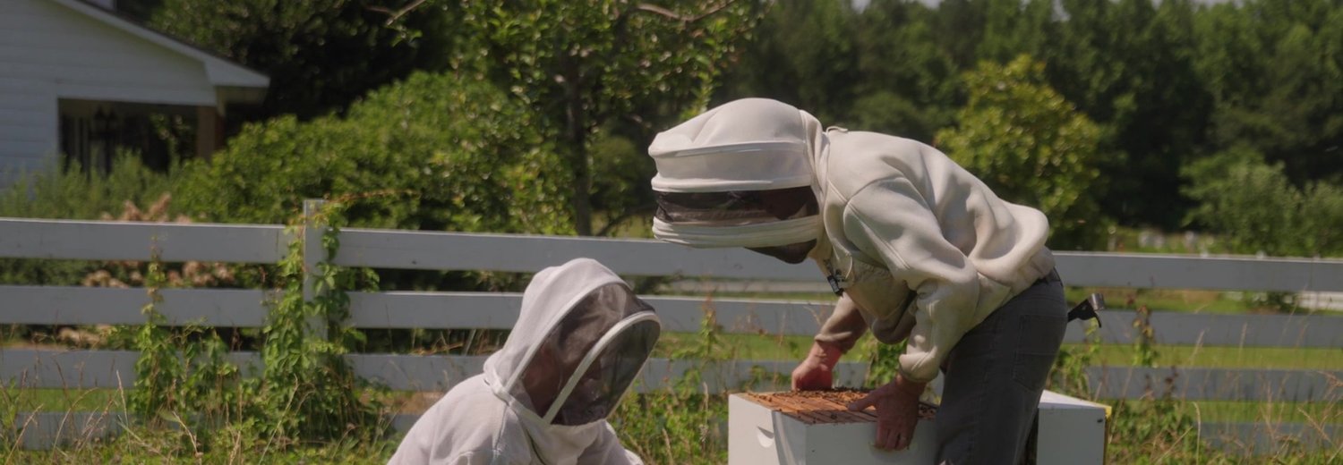 Two beekeepers in protective suits tending a wooden hive in a backyard garden